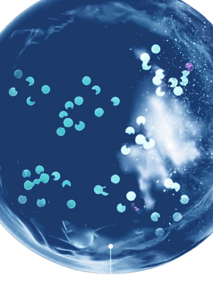 Illustration of AEGIS microcapsules containing FK-5-1-12 suppressant inside a polymer shell